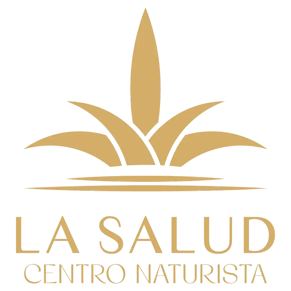 diseño vectorial de color dorado de una planta de aloe vera y texto la salud, centro naturista